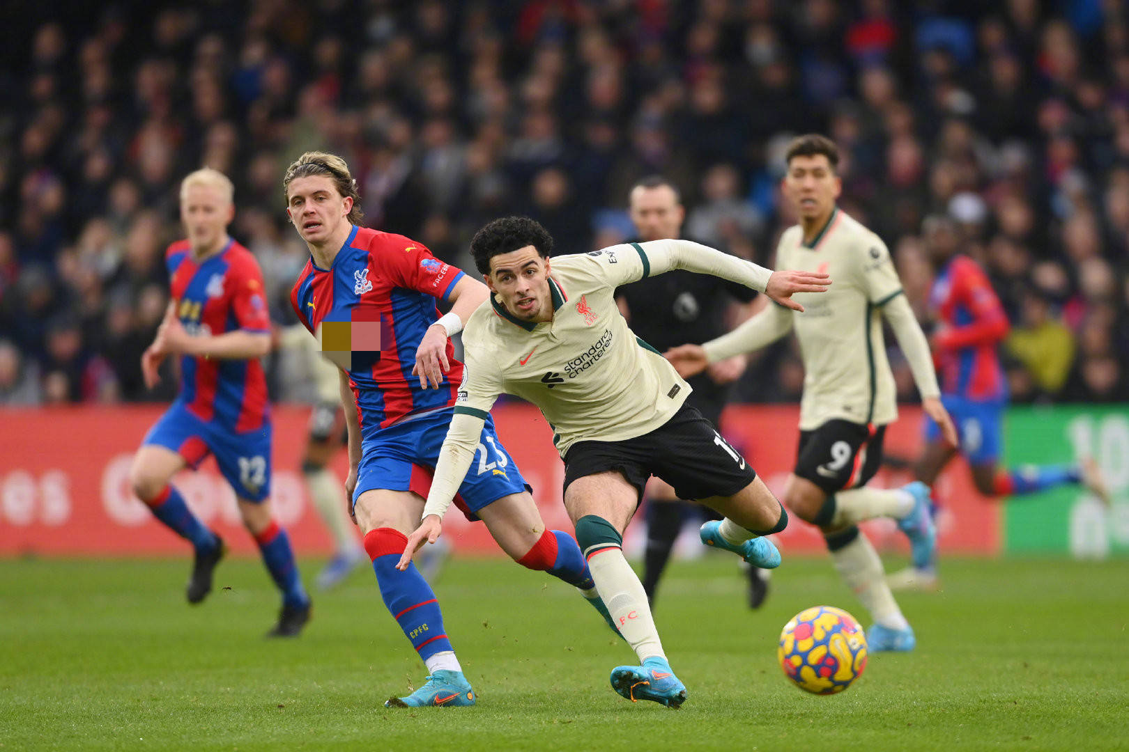 正在追逐梦 正在追逐梦