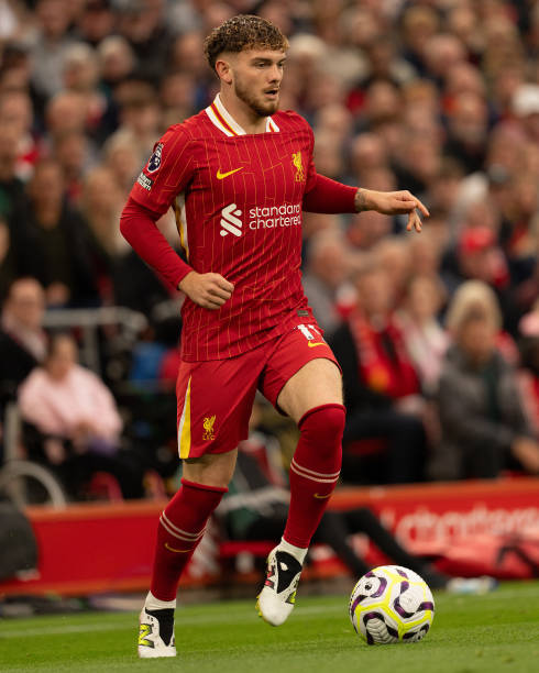 但他们同样 但他们同样