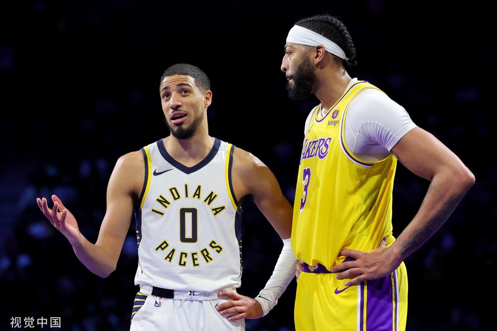 而这正是橡 而这正是橡